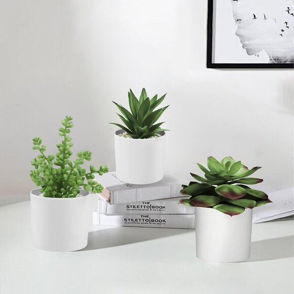 Succulent Plants Artificial in White Pots Small Faux Potted Succulents Fake Plan - Picture 7 of 9